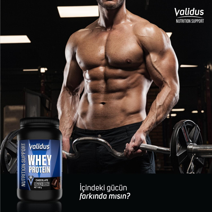 Validus Whey Protein Complex 