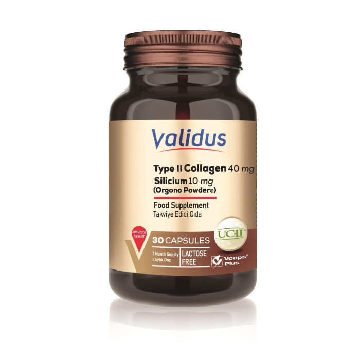 Validus Type II Collagen 40 mg + Silicium 10 mg 30 Capsules