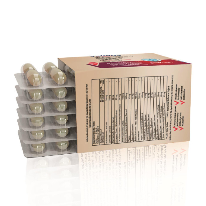 Validus Curcumin 500 mg + Piperin + Inula Henelium + Astragalus + Quercetin + Reishi + Moringa 60 Capsules